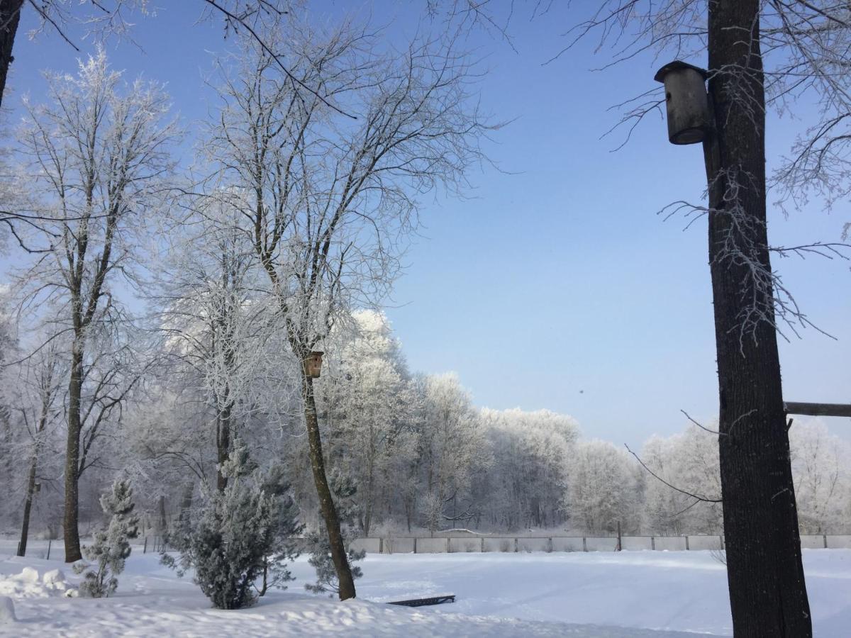 Namelis Prie Sirvintos Upes Su Pirtimi Villa Exterior photo